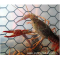 Chicken Hexagonal Wire Netting Wire Mesh